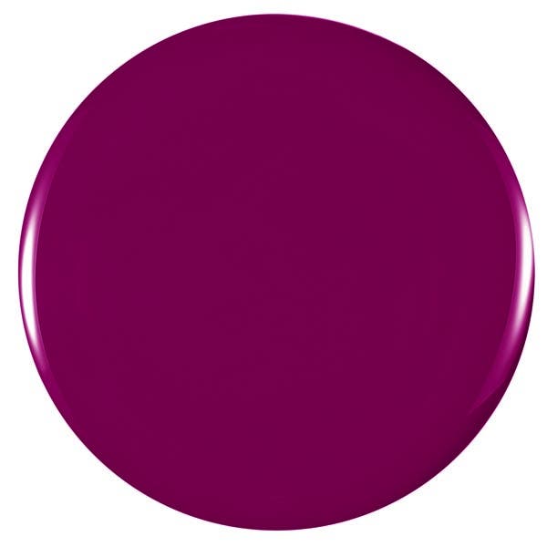 BERRY CHARM - Image 2