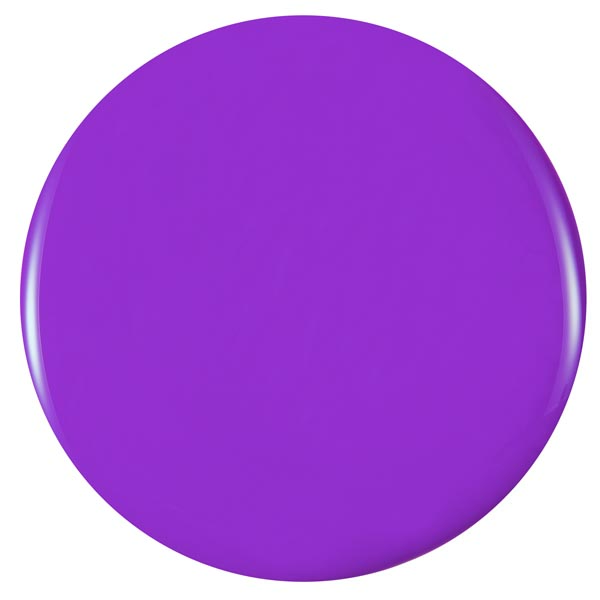 VIOLET RIOT - Image 2